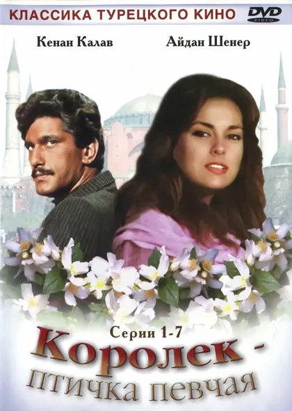 Королёк – птичка певчаяÇ